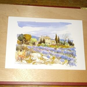 Vintage Postcard Hillside Garden